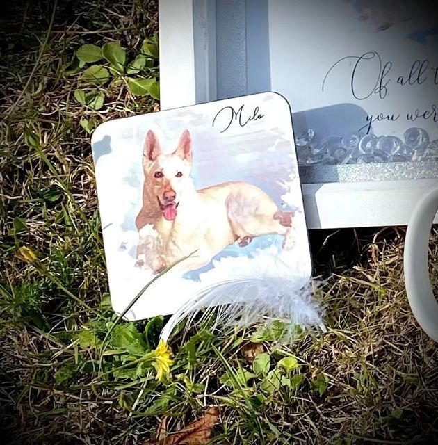 A coaster with Milo's portrait and name